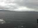 ./images/koeye/fitz-hugh/20160308/fitz-hugh20160308_135703.jpg