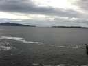 ./images/koeye/fitz-hugh/20160309/fitz-hugh20160309_115706.jpg