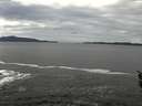 ./images/koeye/fitz-hugh/20160309/fitz-hugh20160309_121503.jpg
