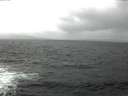 ./images/koeye/fitz-hugh/20160310/fitz-hugh20160310_115706.jpg
