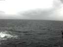./images/koeye/fitz-hugh/20160310/fitz-hugh20160310_121802.jpg