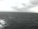 ./images/koeye/fitz-hugh/20160310/fitz-hugh20160310_122101.jpg