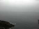 ./images/koeye/fitz-hugh/20160311/fitz-hugh20160311_075705.jpg