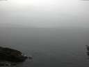 ./images/koeye/fitz-hugh/20160311/fitz-hugh20160311_095705.jpg
