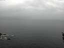 ./images/koeye/fitz-hugh/20160311/fitz-hugh20160311_122403.jpg