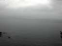 ./images/koeye/fitz-hugh/20160311/fitz-hugh20160311_122703.jpg