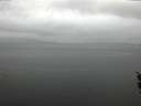 ./images/koeye/fitz-hugh/20160311/fitz-hugh20160311_135702.jpg