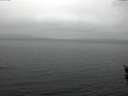 ./images/koeye/fitz-hugh/20160311/fitz-hugh20160311_155702.jpg