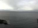 ./images/koeye/fitz-hugh/20160312/fitz-hugh20160312_122101.jpg