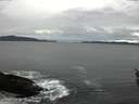 ./images/koeye/fitz-hugh/20160313/fitz-hugh20160313_100301.jpg