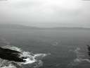 ./images/koeye/fitz-hugh/20160313/fitz-hugh20160313_120303.jpg