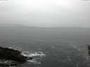 ./images/koeye/fitz-hugh/20160313/fitz-hugh20160313_121802.jpg