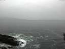 ./images/koeye/fitz-hugh/20160313/fitz-hugh20160313_122102.jpg