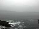 ./images/koeye/fitz-hugh/20160313/fitz-hugh20160313_122403.jpg