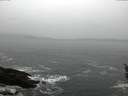 ./images/koeye/fitz-hugh/20160313/fitz-hugh20160313_122702.jpg