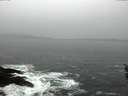 ./images/koeye/fitz-hugh/20160313/fitz-hugh20160313_123301.jpg