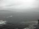 ./images/koeye/fitz-hugh/20160313/fitz-hugh20160313_160302.jpg