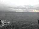 ./images/koeye/fitz-hugh/20160314/fitz-hugh20160314_080303.jpg