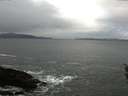./images/koeye/fitz-hugh/20160314/fitz-hugh20160314_120303.jpg