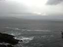 ./images/koeye/fitz-hugh/20160314/fitz-hugh20160314_122403.jpg