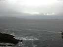 ./images/koeye/fitz-hugh/20160314/fitz-hugh20160314_122702.jpg