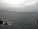 ./images/koeye/fitz-hugh/20160314/fitz-hugh20160314_160303.jpg