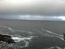 ./images/koeye/fitz-hugh/20160315/fitz-hugh20160315_100302.jpg