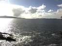 ./images/koeye/fitz-hugh/20160315/fitz-hugh20160315_160303.jpg