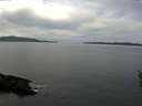 ./images/koeye/fitz-hugh/20160318/fitz-hugh20160318_140302.jpg