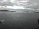 ./images/koeye/fitz-hugh/20160319/fitz-hugh20160319_121802.jpg
