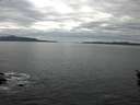 ./images/koeye/fitz-hugh/20160319/fitz-hugh20160319_122403.jpg