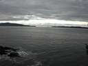 ./images/koeye/fitz-hugh/20160319/fitz-hugh20160319_140303.jpg