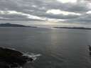 ./images/koeye/fitz-hugh/20160319/fitz-hugh20160319_180302.jpg