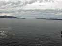 ./images/koeye/fitz-hugh/20160320/fitz-hugh20160320_122402.jpg