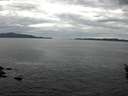 ./images/koeye/fitz-hugh/20160320/fitz-hugh20160320_140302.jpg