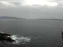 ./images/koeye/fitz-hugh/20160320/fitz-hugh20160320_160302.jpg