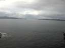 ./images/koeye/fitz-hugh/20160321/fitz-hugh20160321_120301.jpg