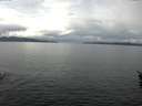 ./images/koeye/fitz-hugh/20160321/fitz-hugh20160321_122401.jpg