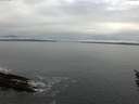 ./images/koeye/fitz-hugh/20160322/fitz-hugh20160322_100301.jpg