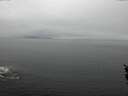 ./images/koeye/fitz-hugh/20160322/fitz-hugh20160322_121802.jpg