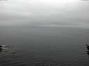 ./images/koeye/fitz-hugh/20160322/fitz-hugh20160322_122402.jpg