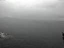 ./images/koeye/fitz-hugh/20160322/fitz-hugh20160322_123303.jpg