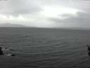 ./images/koeye/fitz-hugh/20160323/fitz-hugh20160323_120303.jpg