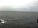 ./images/koeye/fitz-hugh/20160323/fitz-hugh20160323_121803.jpg