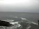 ./images/koeye/fitz-hugh/20160324/fitz-hugh20160324_080302.jpg