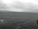 ./images/koeye/fitz-hugh/20160324/fitz-hugh20160324_140303.jpg