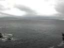 ./images/koeye/fitz-hugh/20160324/fitz-hugh20160324_160302.jpg