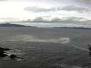 ./images/koeye/fitz-hugh/20160325/fitz-hugh20160325_123302.jpg