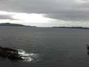 ./images/koeye/fitz-hugh/20160326/fitz-hugh20160326_121803.jpg