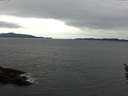 ./images/koeye/fitz-hugh/20160326/fitz-hugh20160326_122103.jpg